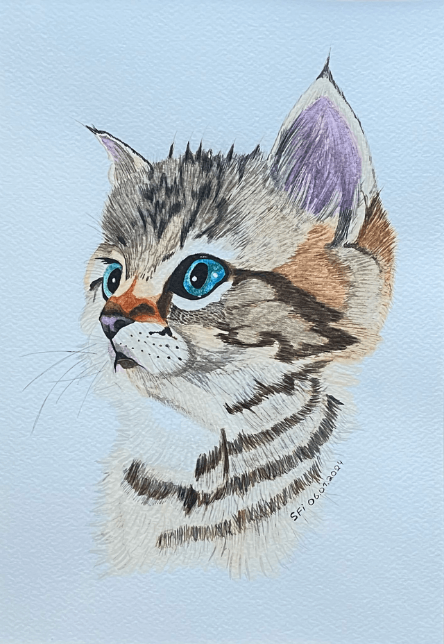 Chaton