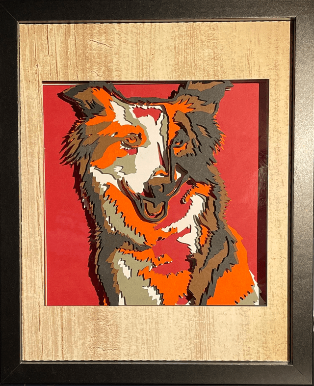 Border Collie - cadre 3D
