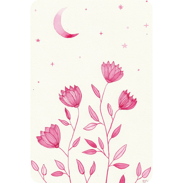 Fleurs de lune rose
