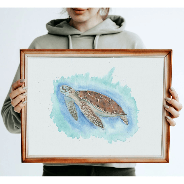 Tortue