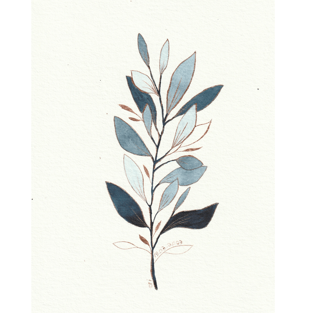 Branche d'olivier - indigo