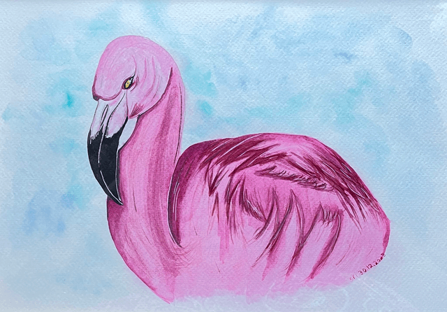Flamant rose