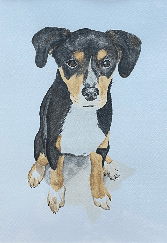 Chiot