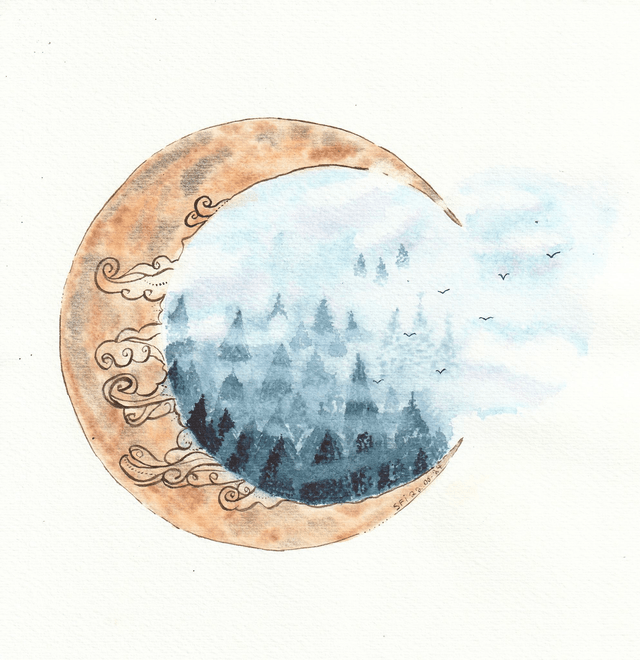 Forêt Mystérieuse