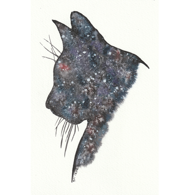 Tête de chat nuit étoilée