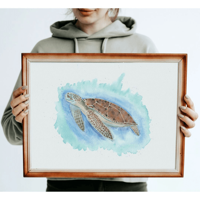 Tortue
