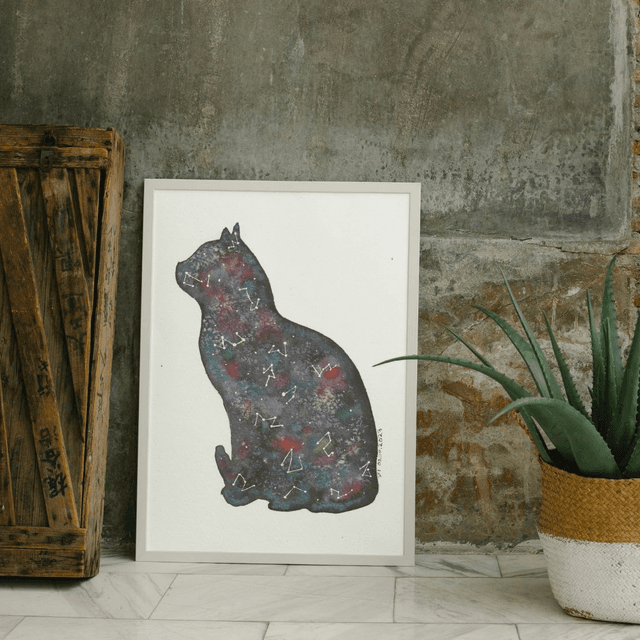 Chat céleste