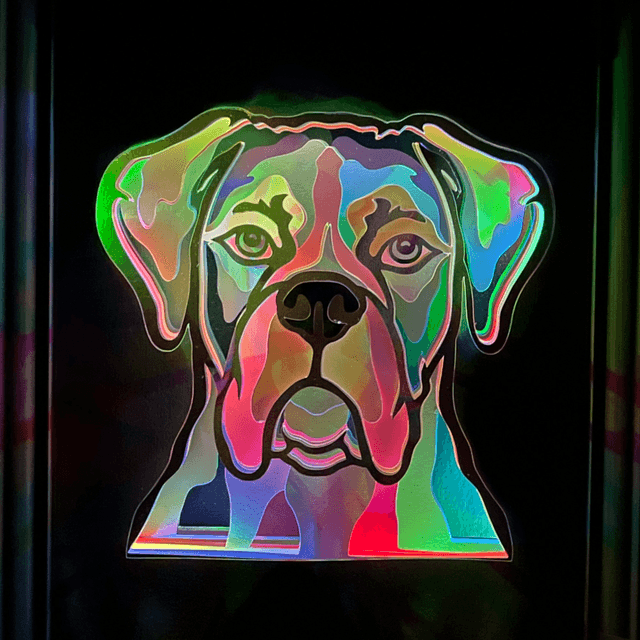 Boxer - cadre 3D